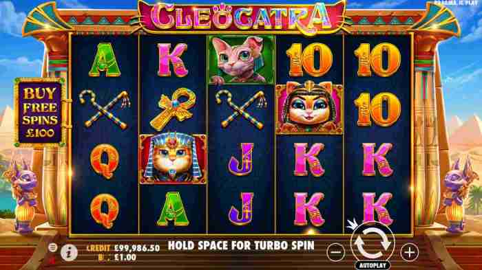 Panduan Lengkap Pemula Slot Cleocatra